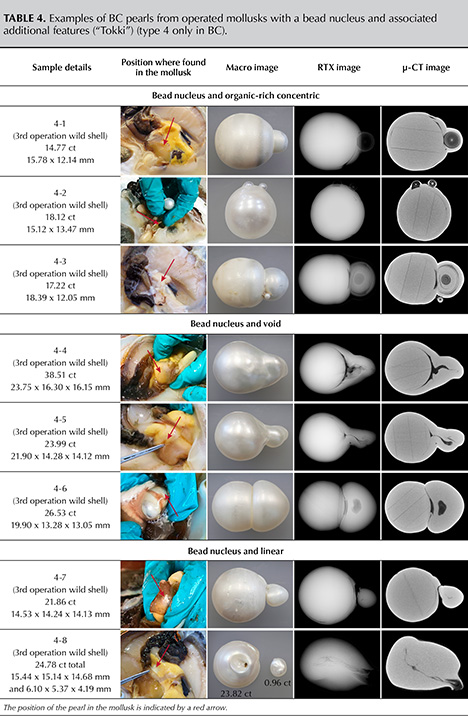 Table 4. Examples of BC pearls from operated mollusks with a bead nucleus and associated additional features (“Tokki”) (type 4 only in BC). 