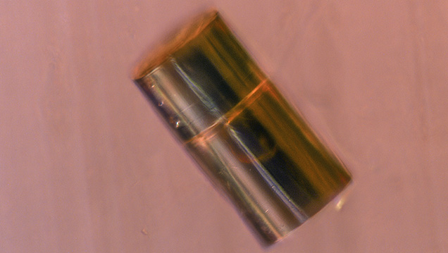 Cylindrical void containing fluid and a mobile gas bubble.