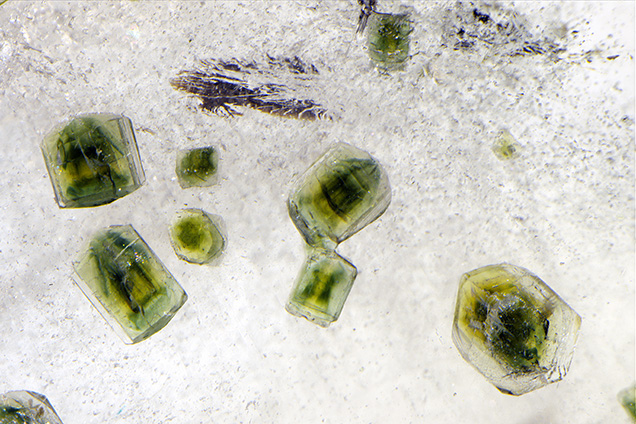 Green fluorapatite crystals in Portuguese quartz.