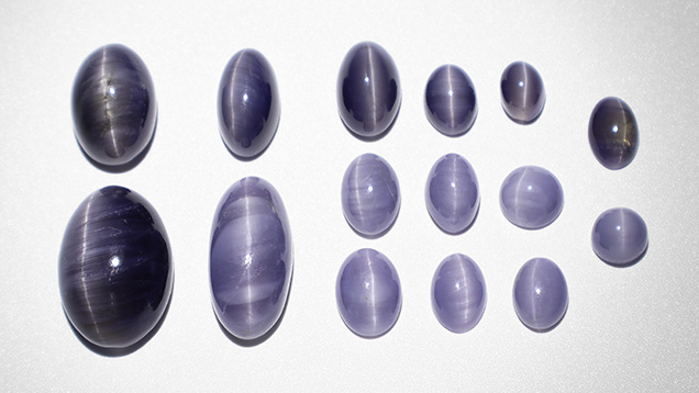 Figure 13. Chatoyant iolite cabochons from Blue Bear. The three largest stones weigh 12.02, 8.52, and 7.24 ct. The remainder weigh between 0.96 to 3.71 ct. Note the variation in color, where lighter-colored cabochons have a higher concentration of acicular inclusions. Photo by Philippe Belley.