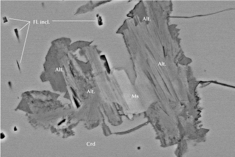 Figure 16. Inclusion of primary muscovite (Ms), which is partly altered to unidentified aluminosilicates (Alt.), and blocky fluid inclusions (Fl. incl.) in cordierite (Crd) from Blue Bear. Note the fractures leading to the partly altered muscovite. Backscattered electron SEM image; field of view 165 μm.