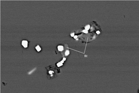 Figure 19. Zircon (white) associated with biotite (Bt; iron-rich phlogopite) in gem-quality cordierite from Blue Bear. Backscattered electron SEM image; field of view 120 μm.