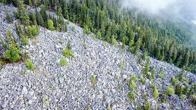 Figure 4. Aerial image of the Blue Arrow iolite occurrence, which consists of cordierite-bearing boulders near the forest’s edge. Photo by Philippe Belley.