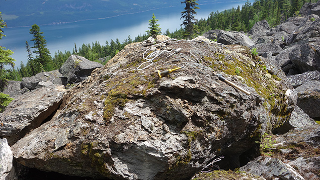Figure 5. Cordierite-gedrite-biotite-garnet boulder at the Blue Arrow occurrence. Photo by D.J. Lake.