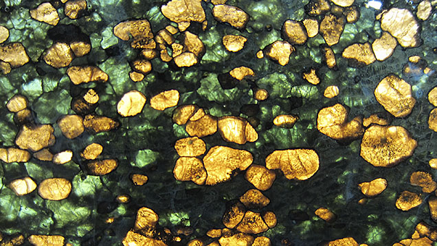 Figure 2. Polished slice of an eclogite xenolith. This backlit specimen shows the typical orange garnet and green clinopyroxene that make up eclogite. Recovered from the Roberts Victor mine in South Africa, this eclogite xenolith (sample JJG-243) is part of the Mantle Room collection curated by the University of Cape Town. Photomicrograph by Evan M. Smith; field of view approximately 5 cm.