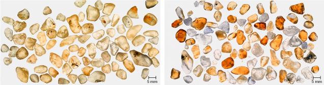 Figure 15. Left: Pale yellow natural sapphires from Sri Lanka. Right: The same sapphires after heat treatment at 1400°C, in oxygen, for five hours to remove hydrogen. Photos by John L. Emmett.