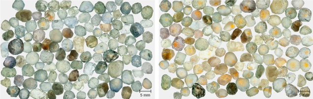 Figure 17. Left: Run-of-mine samples from Rock Creek, Montana, selected only for size (3.0–5.5 mm), before heat treatment. Right: The same samples are shown after heat treatment at 1200°C in oxygen for 10 hours. Photos by John L. Emmett.