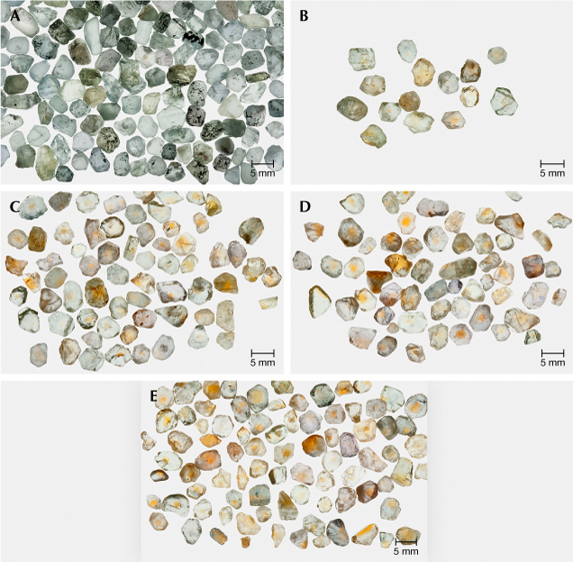 Figure 19. A: One-half of a 50 g lot from a 600 g parcel of Missouri River sapphire, selected only for size (3.5–5.5 mm), before heat treatment. B: Yellow stones produced from another 50 g lot after heat treatment at 1600°C in oxygen for 10 hours. C: Yellow stones produced from another 50 g lot after heat treatment at 1700°C in oxygen for 10 hours. D: Yellow stones produced from another 50 g lot after heat treatment at 1800°C in oxygen for 10 hours. E: Yellow stones produced from another 50 g lot after heat treatment at 1800°C in oxygen for 31.6 hours. Photos by John L. Emmett.