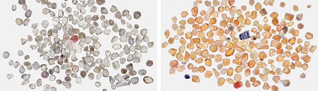 Figure 26. Left: Near-colorless sapphires from the Dry Cottonwood Creek deposit in Montana, with an average stone size of 4–5 mm. Right: The same group of sapphires after beryllium diffusion. Photos by John L. Emmett.