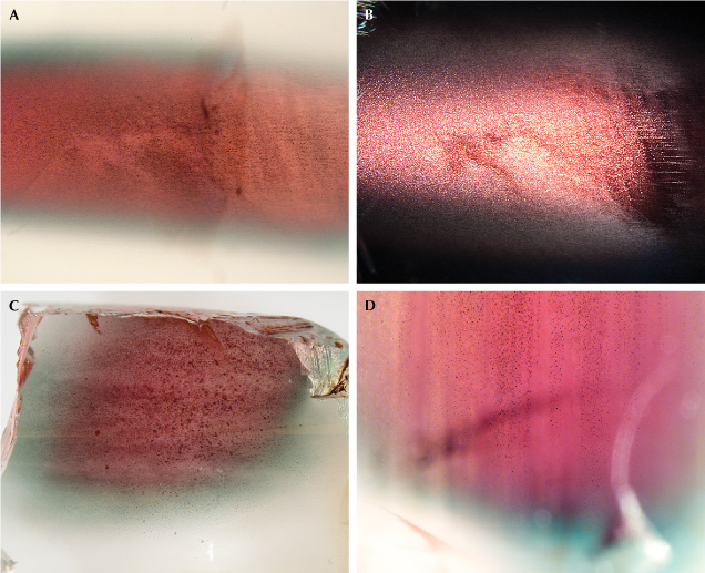 Figure 15. “Watermelon”-colored Oregon sunstone crystals all show larger flakes of copper inclusions at the core, creating the schiller effect at certain orientations that is most obvious under an optical microscope. A: Sample A314 in transmitted light (brightfield illumination). B: The same area of sample A314 under reflected light; the red-colored core shows much stronger reflection (schiller) than the green-colored rim. C: The copper flakes in sample A195 noticeably decrease in size from the red core to the green rim before disappearing in the clear edge. D: The flaky copper inclusions align along the cleavage planes in sample A319. Photomicrographs by Shiyun Jin; fields of view 8.76 mm (A–C) and 4.38 mm (D).