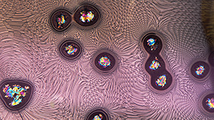 A precipitation of an unidentified mineral in a fissure of a purple spinel creates this highly intricate moiré pattern. A combination of oblique fiber-optic and darkfield illumination was used. Photomicrograph by Tyler Smith; field of view 2.90 mm.