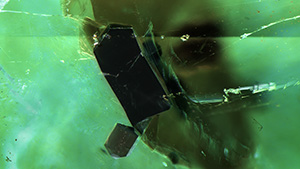 Prismatic black tourmaline in a Zambian emerald. Photomicrograph by Virginia Schneider; field of view 1.76 mm.