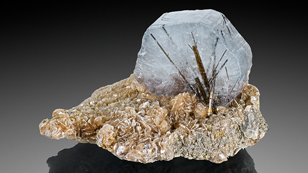 Figure 1. Dark yellowish to brownish green needle-like inclusions dominate the interior of this 21.36 ct Portuguese fluorapatite on siderite matrix. Photo by Adriana Robinson.