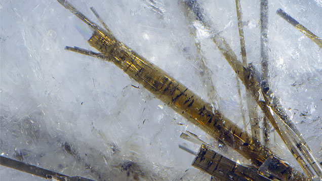 Figure 2. Raman analysis was used to identify the acicular inclusions in the fluorapatite host crystal as dravite tourmaline. Photomicrograph by Nathan Renfro; field of view 7.37 mm.