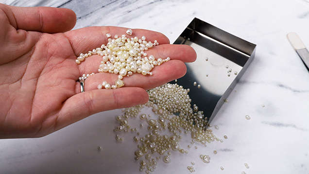 Figure 1. A lot of pearls sold as “Venezuelan pearls,” ranging from 2.05 × 1.88 mm to 6.87 × 5.23 × 4.23 mm. Photo by Gaurav Bera.