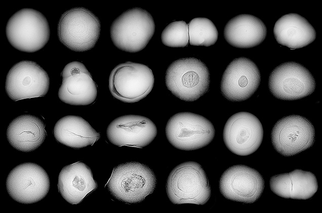 Figure 2. RTX imaging of various structures examined in the lot. The first row displays pearls with growth arcs and small faint cores, the second row shows different cores and crystalline structures, and the third row presents various linear and void features. The bottom row shows voids filled with organic matter, pearls with growth arcs, and faint cores in the multi-nuclei structure.