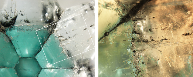 Figure 2. Left: Green color banding in the green internal arm areas of the trapiche emerald; field of view 1.18 cm. Right: Black and whitish inclusions in the green and near-colorless areas; field of view 5.95 mm. Photomicrographs by Makoto Miura (left) and Taku Okada (right).