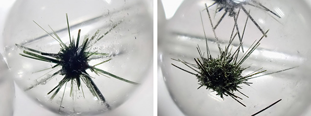 Figure 1. These dark green acicular aggregates in quartz were identified as hedenbergite. Photomicrographs by Liyan He; fields of view 9.20 mm (left) and 8.30 mm (right).