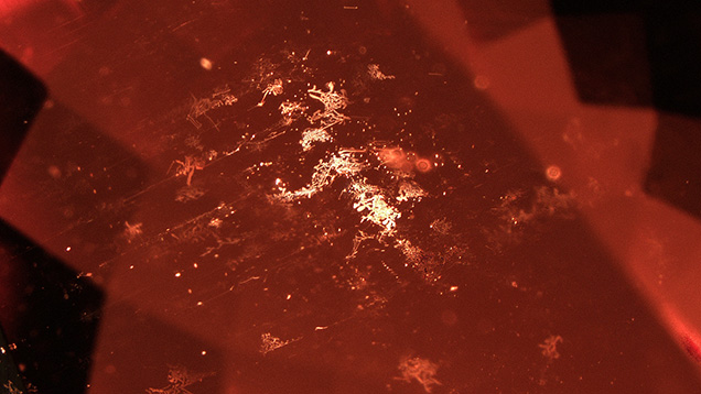 Skeletal formations of natural metallic reflective thin films in an 18.67 ct pinkish orange morganite. Photomicrograph by Taku Okada; field of view 8.10 mm.