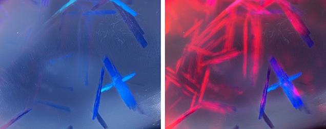 Figure 2. A pattern resembling the letter “A” was observed on the other side of the black opal. The left image was taken using fiber-optic illumination with a white diffuser, while the right image used a combination of fiber-optic and brightfield illumination. Photomicrographs by Makoto Miura; field of view 2.96 mm.