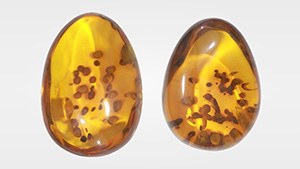 Figure 1. Two amber specimens (131.85 and 130.37 ct, respectively) containing Palaeoclavaria burmitis fungal inclusions. Photo by Ta Quan Ngoc.
