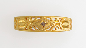 Figure 1. The diamond ring front view. Photo by Shunsuke Nagai