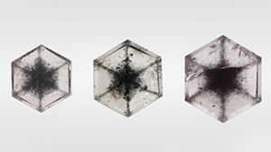 Figure 1. Three near-colorless transparent grossular garnet tablets with black inclusions arranged in snowflake-like patterns: 0.46, 0.68, and 1.00 ct, respectively. Photo by Shunsuke Nagai.