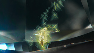 Figure 1. Viewed through the pavilion, trails of starburst-patterned clouds were observed in patches near the girdle in a 2.50 ct diamond; in the center of each cloud were more intensely colored particles appearing to form a cross pattern. Photomicrograph by Forozan Zandi; field of view 2.34 mm.
