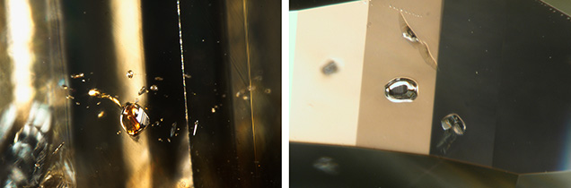 Figure 16. Pyrope-almandine-grossular garnet (left) and omphacite (right) are the most common mineral inclusions observed in 480 nm band diamonds. (The tan areas in the right photo are reflections from the girdle facets.) Photomicrographs by Mei Yan Lai; fields of view 1.76 mm (left) and 0.93 mm (right).