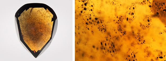 Figure 7. Left: A 1.03 ct Fancy Dark brown diamond containing carbon dioxide showing a high density of dark inclusion clusters. Right: The dark inclusions are larger (up to 50 μm) than those observed in typical 480 nm band diamonds without detectable carbon dioxide (generally <10 μm). Photos by Mei Yan Lai; field of view 1.26 mm (right).