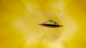 This diamond feather and its reflection resemble a UFO flying across the sun. Photomicrograph by Michaela Damba; field of view 3.57 mm.