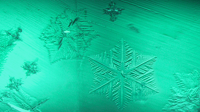 Figure 2. Brightfield illumination reveals a dendritic pattern in the star-shaped platelets, which bear a striking resemblance to snowflakes. Smaller three-dimensional crystal inclusions are also observed in the artificial glass. Photomicrograph by Kanako Otsuka; field of view 1.58 mm.