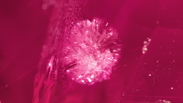 Sea urchin–like 3D radial fissures in a heated Mong Hsu ruby. Photomicrograph by Taku Okada; field of view 1.70 mm.