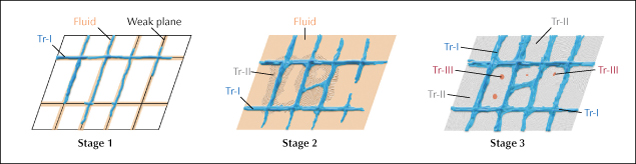 Figure 14. A formation model of the specific microstructure of Russian white nephrite generated by fluid flow within a single carbonate crystal. Stage 1: Fluid (orange line) flowing along the channels of the weak planes (black lines), which are assumed to be cleavages or twinning planes of the carbonate crystal, initially precipitated the early-stage tremolite (Tr-I) and established a rhombic framework (blue lines). This early-stage tremolite (Tr-I) deposited before the metasomatic process began and further developed during metasomatism. Stage 2: The entire carbonate crystal was immersed in the fluid, and the middle-stage tremolite (Tr-II, curved thin gray lines) grew on the foundation of the Tr-I vein net. Stage 3: Tr-II and late-stage tremolite (Tr-III, red dots) formed inward within the pseudo-rhomb, around its center. The finely crystalline Tr-III may or may not grow in the form of fibrous crystals.