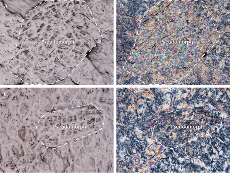 Figure 15. Correlation between textural pattern and microstructural framework in pseudomorphs from sample ELS27. A and C: Reflected darkfield illumination images showing the separate textural patterns of higher-relief vein nets and lower-relief central domains. B and D: Cross-polarized transmitted light images of the same areas shown in A and C, respectively, revealing the corresponding microstructural framework. Dashed lines outline the pseudomorph boundaries. Photomicrographs by Meiyu Shih; field of view 2.8 mm.