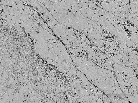 Figure 8. BSE image of Russian white nephrite sample ELS27. The similar contrast levels across the image indicate a nearly homogeneous chemical composition. Image by Qingqing Deng.