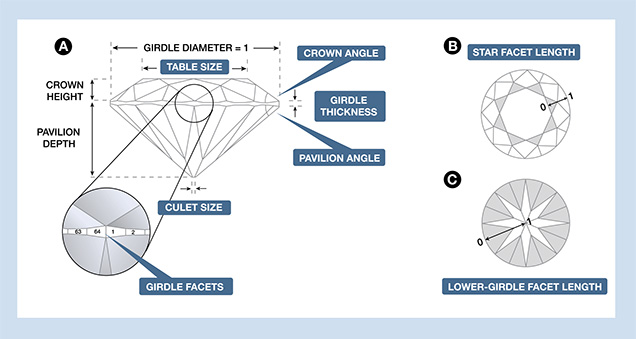 Eight Proportion Parameters Diagram