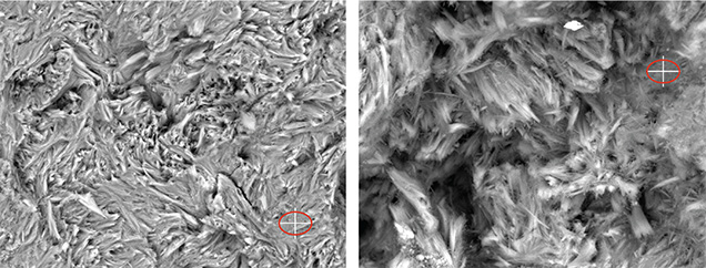 SEM photos of Tremolites 