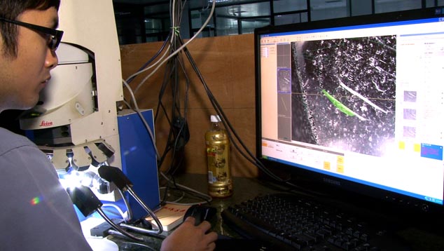 The technician used the Helium M Box and the microscope to plot a rough diamond’s surface-reaching feather, which is marked in green.