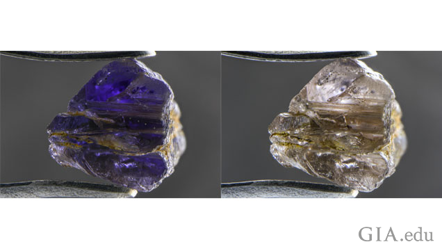 Johnkoivulaite shows strong pleochroism, going violet (left) to near-colorless (right) when examined with polarized light. Field of View:10.05mm. Photomicrographs by Nathan Renfro/GIA.