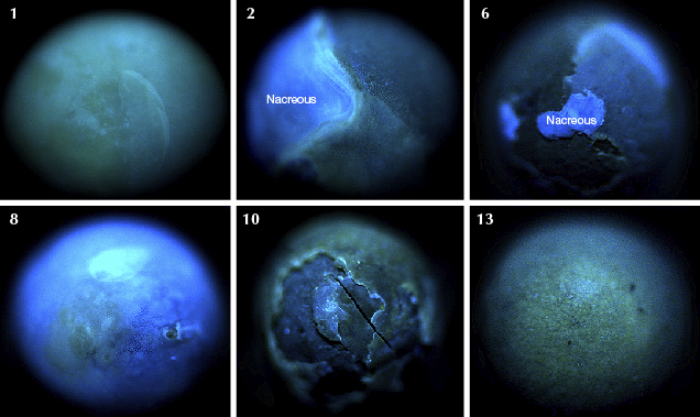 Reactions of six selected pearls under ultra-short UV.