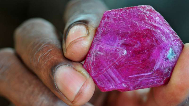 2009年9月にナンプラで発見された、モザンビークのモンテプエズ地域産の大きい絹のようなルビーの結晶。 撮影：Vincent Pardieu/GIA