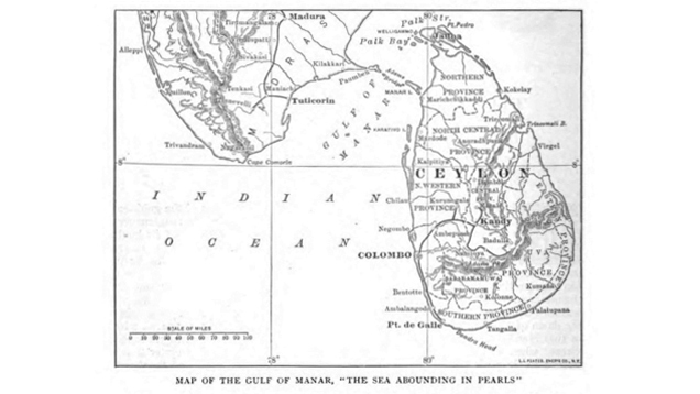 Map of the Gulf of Manar