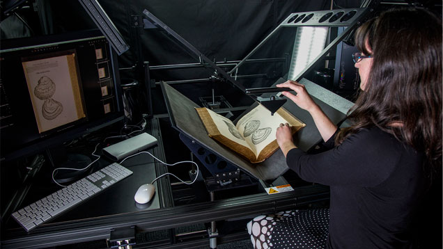 IMG - PR - Rare Books 636x358