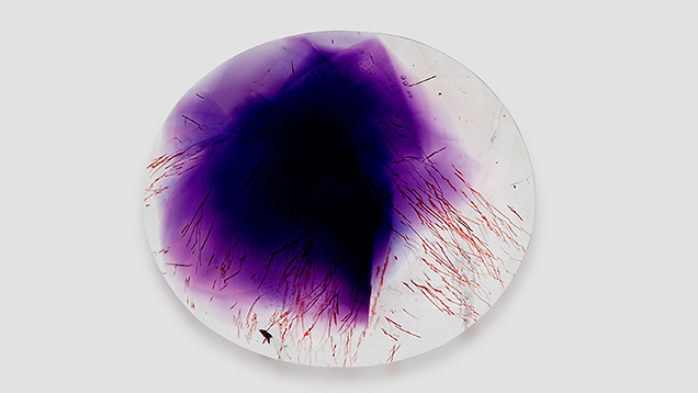Amethyst with hematite inclusions, viewed in immersion