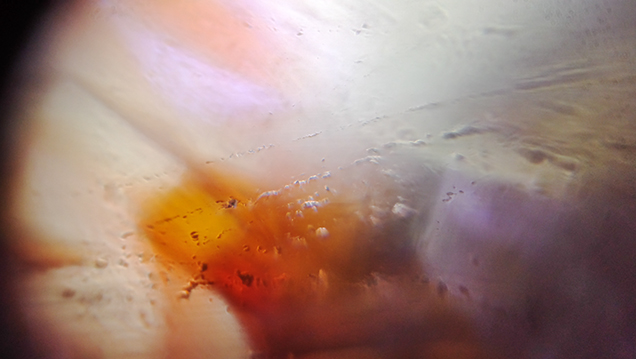 Quartz under Foldscope
