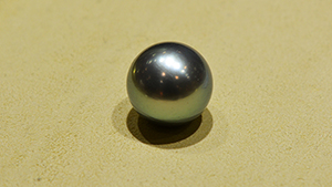 Tahitian cultured pearl