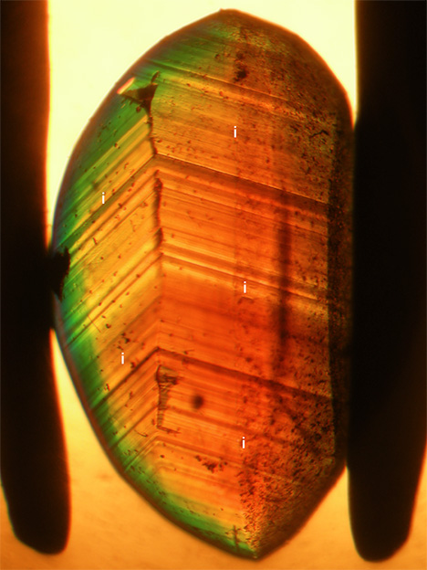 View in immersion of growth zoning of a chrysoberyl 