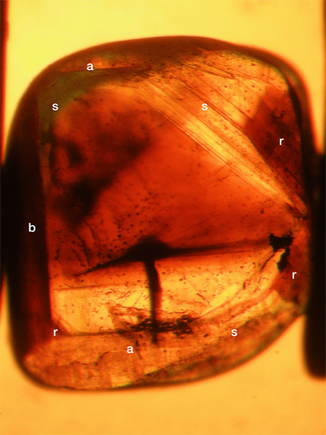 View in immersion of growth zoning and color zoning in a chrysoberyl