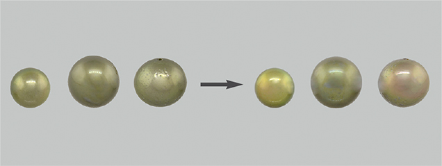 Treated pistachio pearls after immersion in various solvents